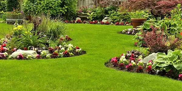 A bright green manicured lawn done by the professionals at Probuilt